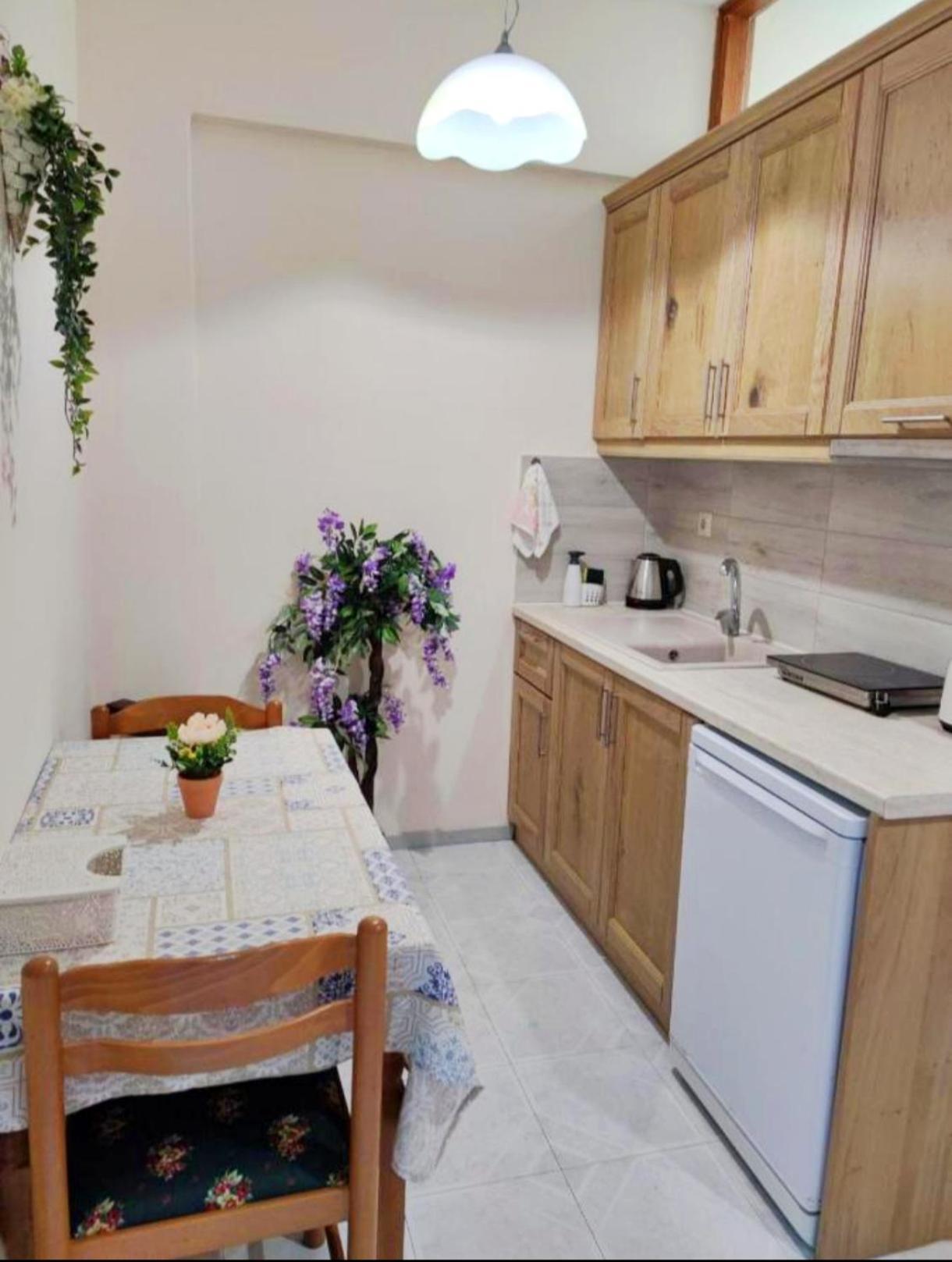 Borianoula Apartments Frý エクステリア 写真
